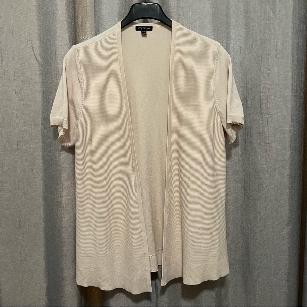Sweater by Lane Bryant.  (1)